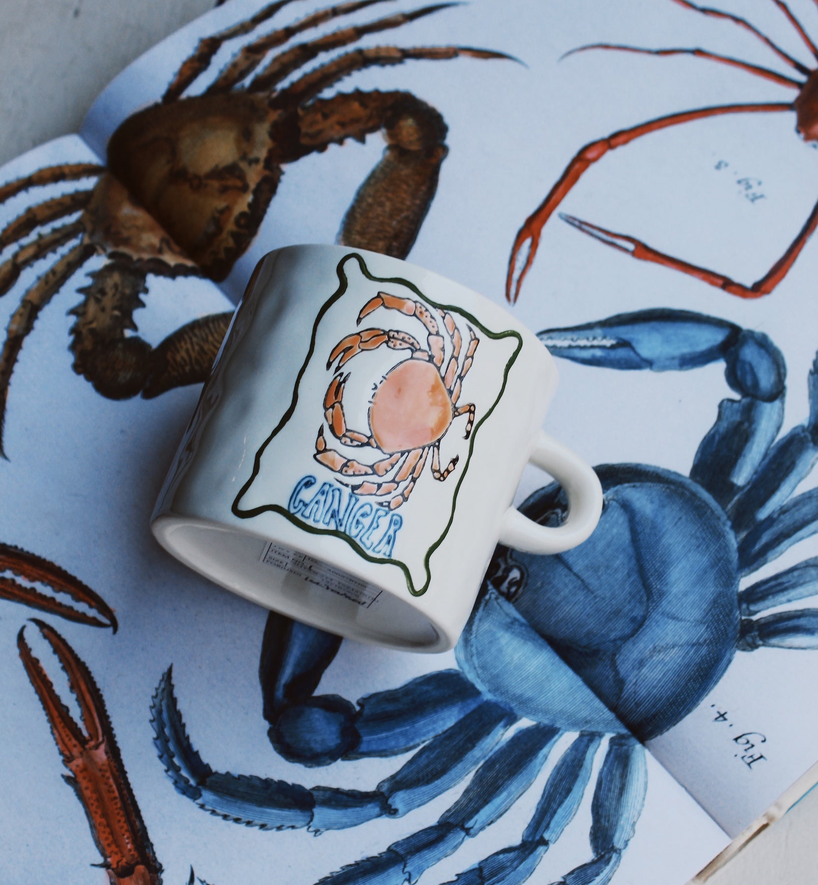 Cancer Mug