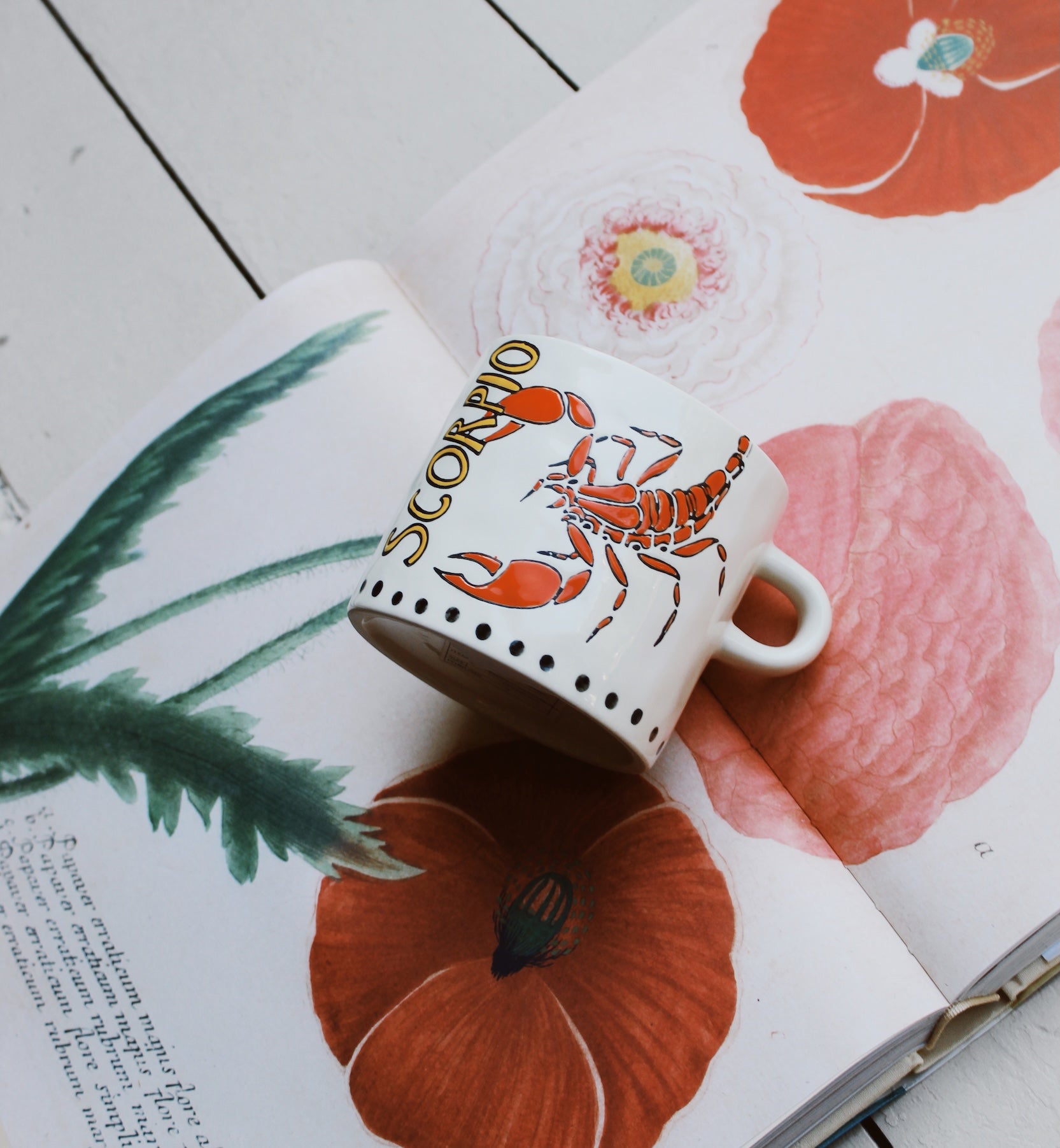 Scorpio Mug