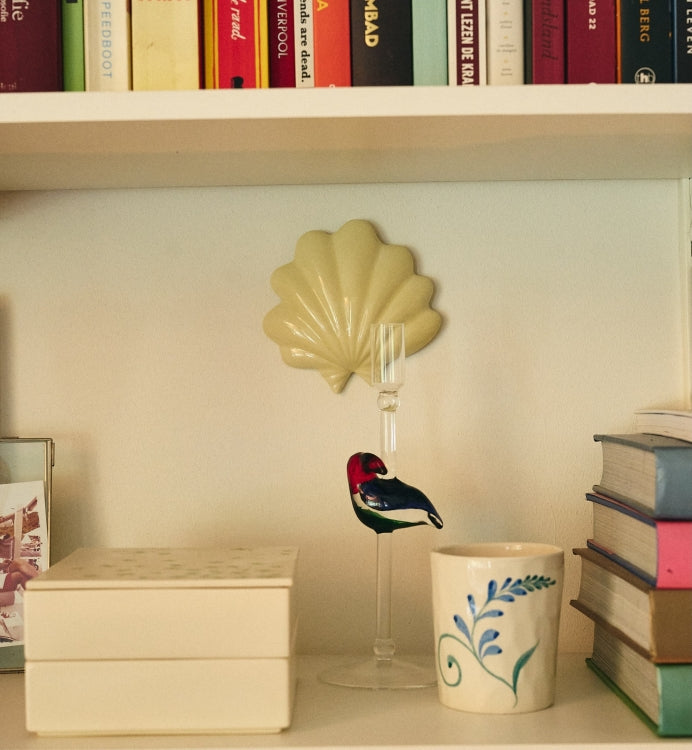 Shell Wall Deco