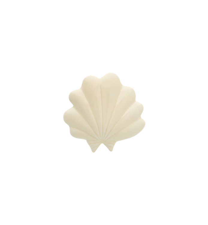 Shell Wall Deco