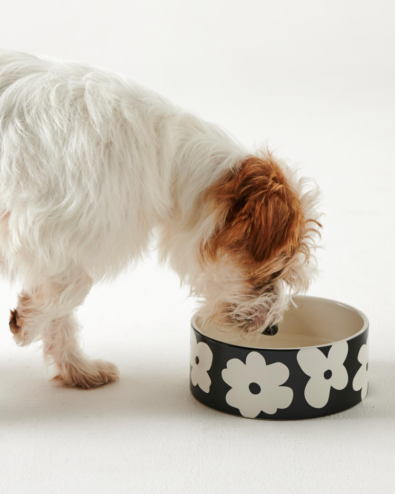 Flower Dog Bowl