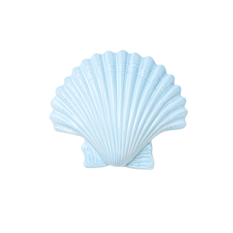 Blue Shell Wall Hanging