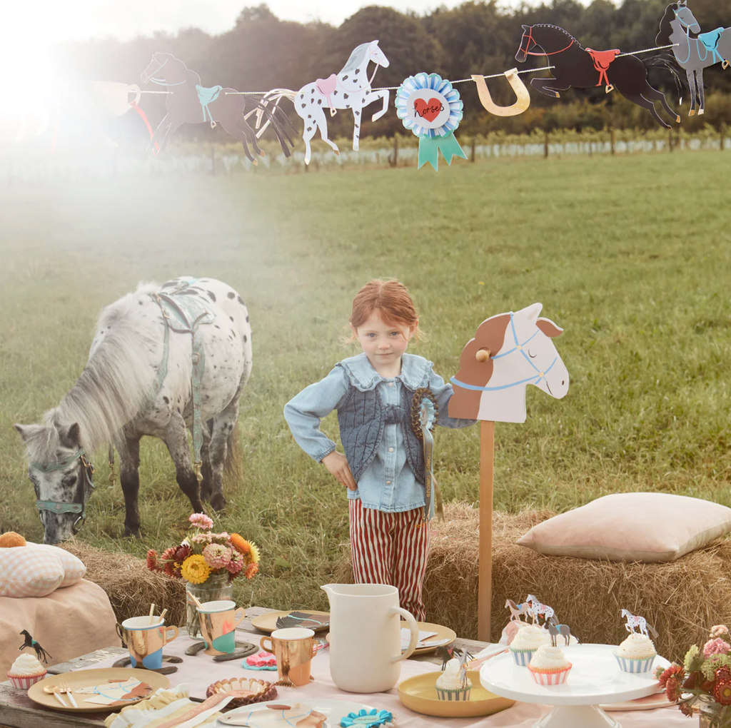 Meri Meri Horse Kit