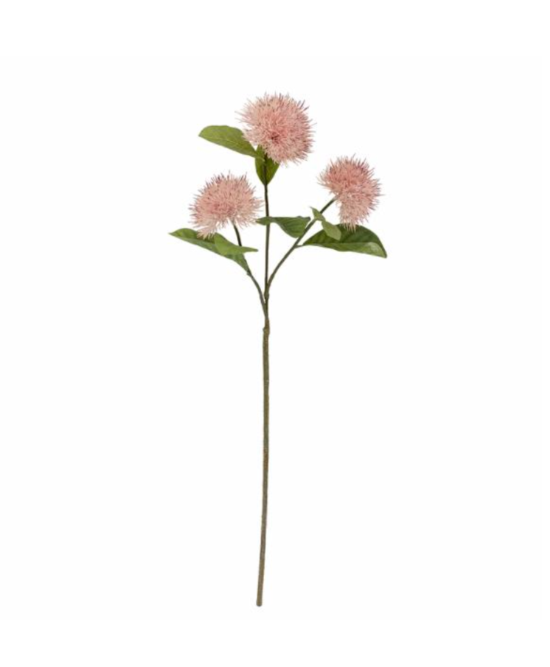 Chrysantemum Stem Pink